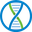 EncrypGen DNA